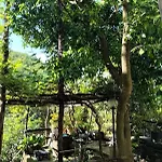 펜션 Casa Indipendente Silenziosa, Super Relax Nel A Pochi Minuti Dal Mare