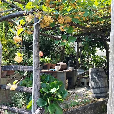 Casa Indipendente Silenziosa, Super Relax Nel A Pochi Minuti Dal Mare Nyaraló