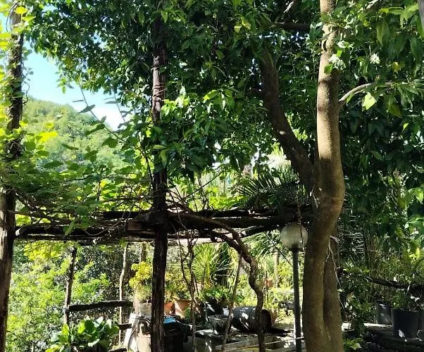 Semesterbostad Casa Indipendente Silenziosa, Super Relax Nel A Pochi Minuti Dal Mare