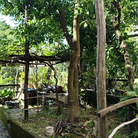 Casa Indipendente Silenziosa, Super Relax Nel A Pochi Minuti Dal Mare * Cogorno